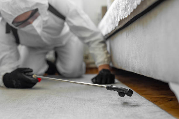 Professional Termite Control technician working in Groton, SD