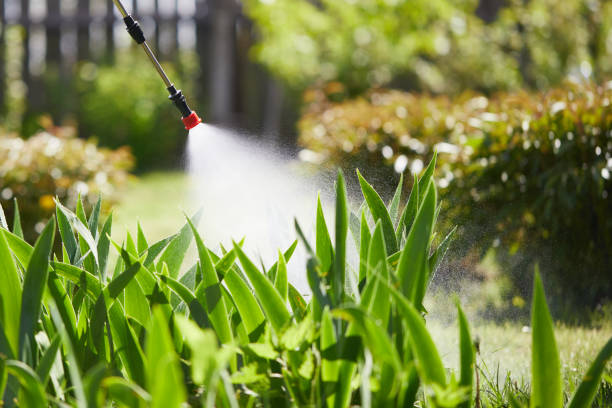 24/7 Emergency Termite Control experts in Groton, SD